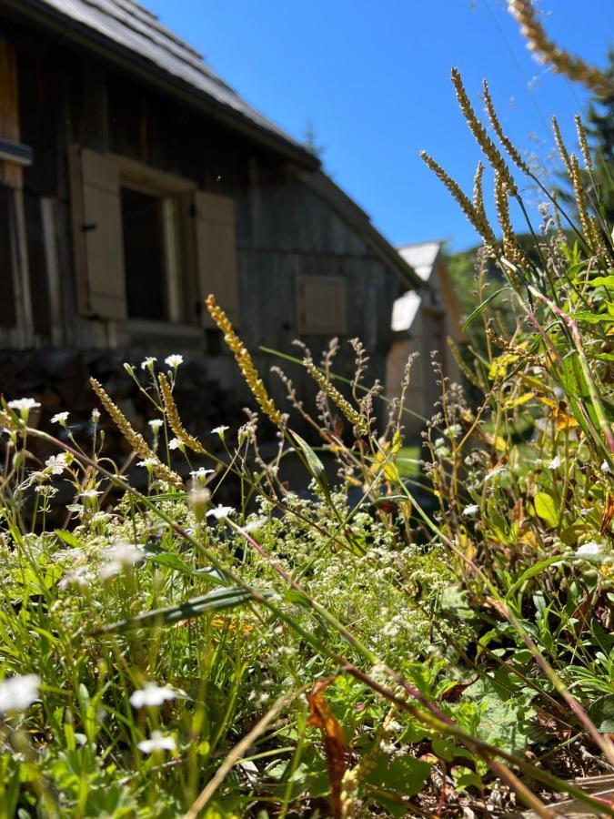 Chalet Velika Planina - I Feel Alps Stahovica ภายนอก รูปภาพ