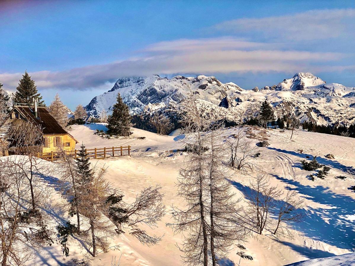 Chalet Velika Planina - I Feel Alps Stahovica ภายนอก รูปภาพ